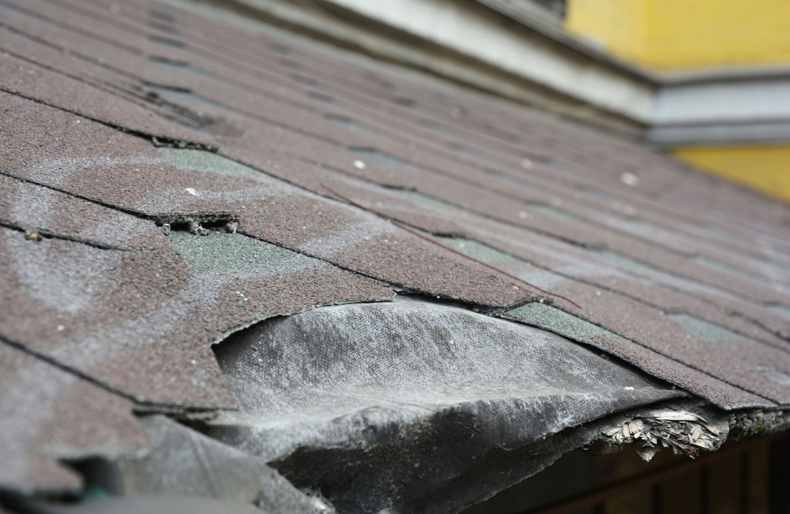 Monarch Roofing Images