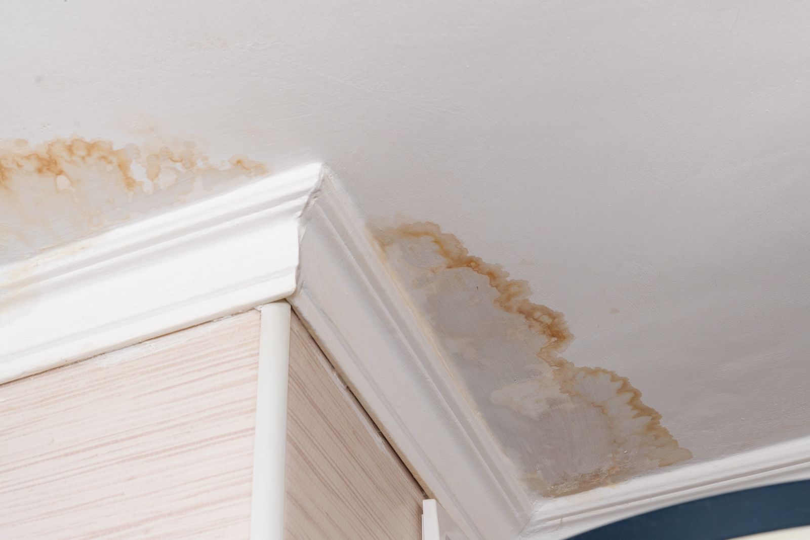 Monarch Roofing Images
