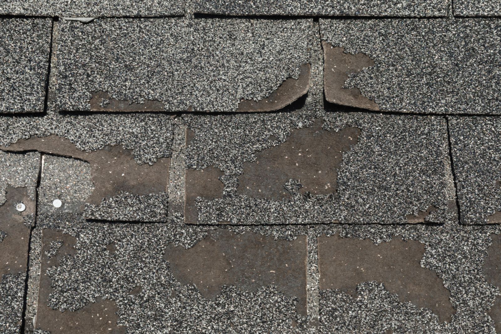 Monarch Roofing Images